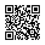 100200P4Z50-2 QRCode