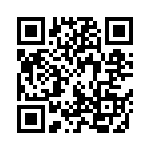 1004P1T1B1M2QE QRCode