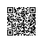 1004P6T8B13M1QEH QRCode