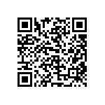 100DP4T1B1M53QEH QRCode