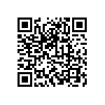 10104999-J0E-80B QRCode