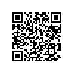 101C613U040BD2B QRCode