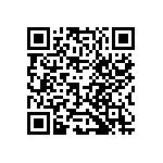 101X313U040CC2D QRCode