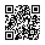 102991-1 QRCode