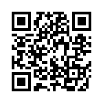 102S42E3R9DV4E QRCode