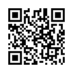 110060062 QRCode