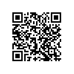 1111J1001P90BQT QRCode