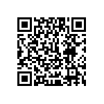 1111J1K01P00HQT QRCode