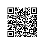 1111J1K04P70HQT QRCode