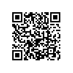 1111J2500430GQT QRCode