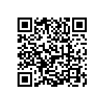 1111J2504P00DQT QRCode