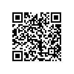 1111J2K02P10DQT QRCode