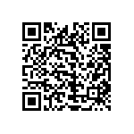 1111J3001P30HQT QRCode