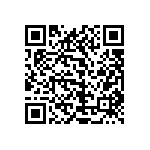 1111Y1001P30DQT QRCode