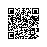 1111Y1003P30DQT QRCode