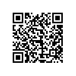 1111Y100P500DQT QRCode