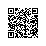 1111Y1K00101GQT QRCode