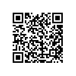 1111Y1K00161KQT QRCode