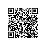 1111Y1K01P10HQT QRCode