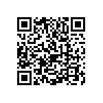 1111Y1K01P40BQT QRCode