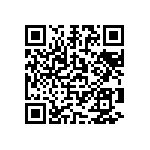 1111Y1K01P60HQT QRCode