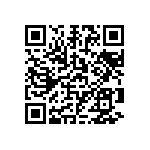 1111Y1K01P90DQT QRCode