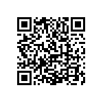 1111Y1K03P30DQT QRCode