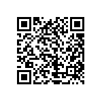 1111Y1K06P20HQT QRCode