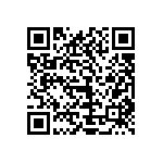 1111Y1K0P300DQT QRCode