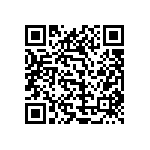 1111Y2500110FQT QRCode