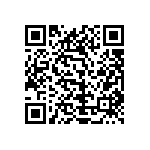 1111Y2500200KQT QRCode