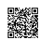 1111Y2500300JQT QRCode