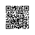 1111Y2500301KQT QRCode