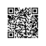 1111Y2500511FQT QRCode