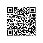 1111Y2500621KQT QRCode