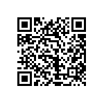 1111Y2502P00DQT QRCode