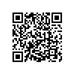 1111Y2508P20HQT QRCode