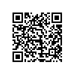 1111Y250P300HQT QRCode