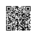 1111Y2K09P10DQT QRCode