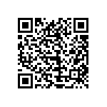 1111Y2K0P300BQT QRCode