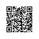 1111Y2K0P300DQT QRCode