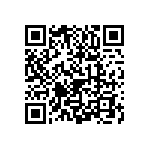 1111Y3000161GQT QRCode