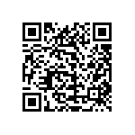 1111Y3000331KQT QRCode