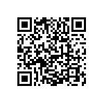 1111Y3002P20DQT QRCode