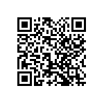 1111Y300P300BQT QRCode