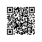 1111Y300P600BQT QRCode