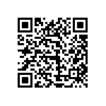 1111Y300P900BQT QRCode