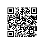 1111Y5004P30DQT QRCode