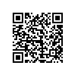 1111Y500P600DQT QRCode