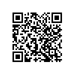 1111Y6301P30BQT QRCode